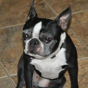 Meet your Posher, Tina